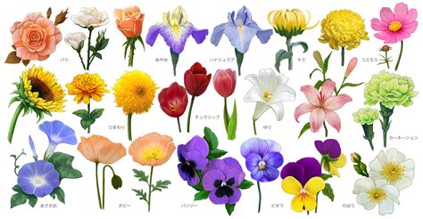 花 種類|【花図鑑】花の種類・育て方・増やし方